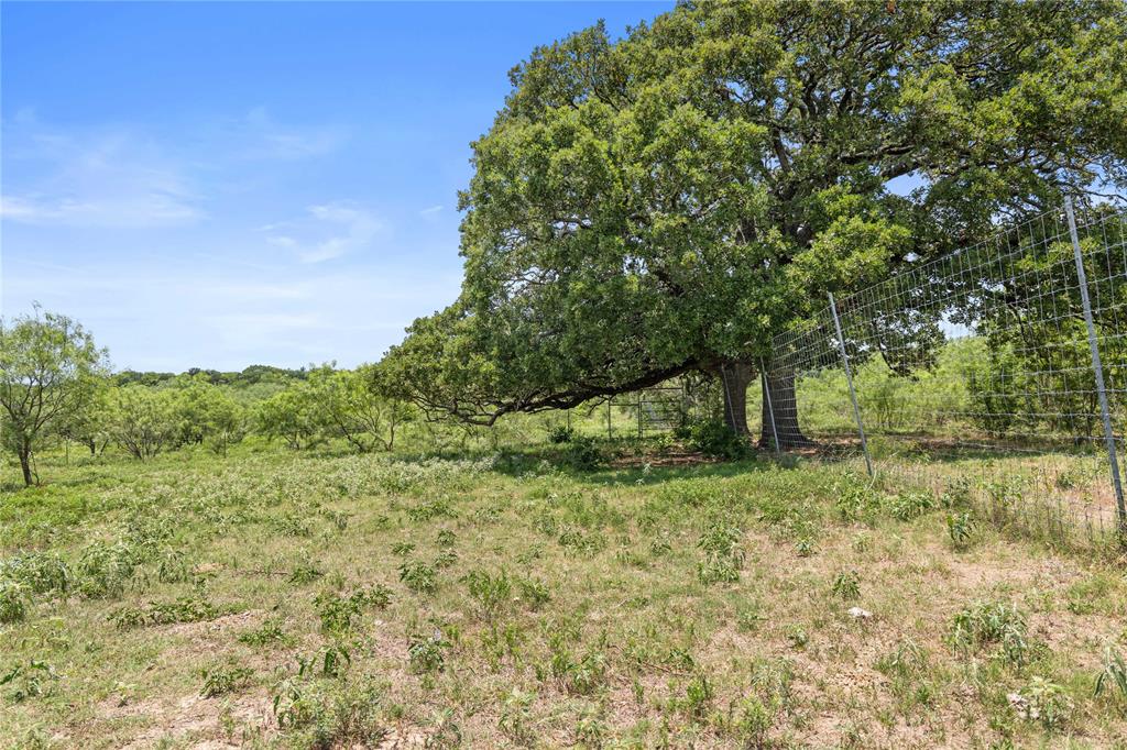 Tbd Highway 274 Property Photo 18