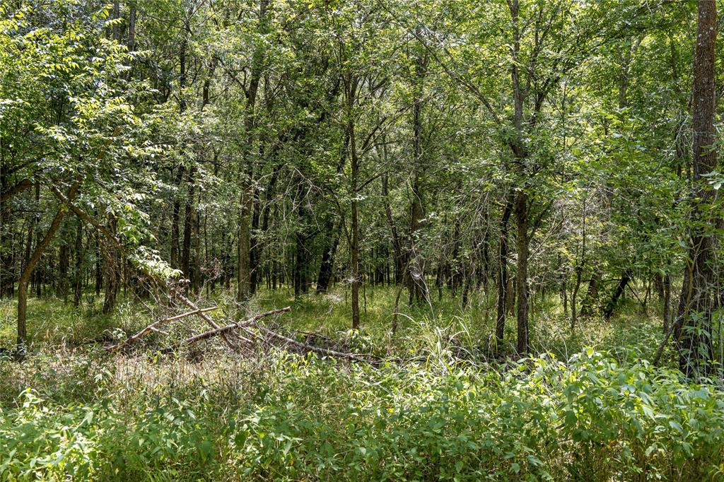 Tbd Highway 274 Property Photo 24