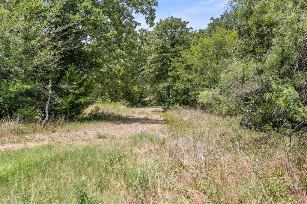 Tbd Highway 274 Property Photo 25