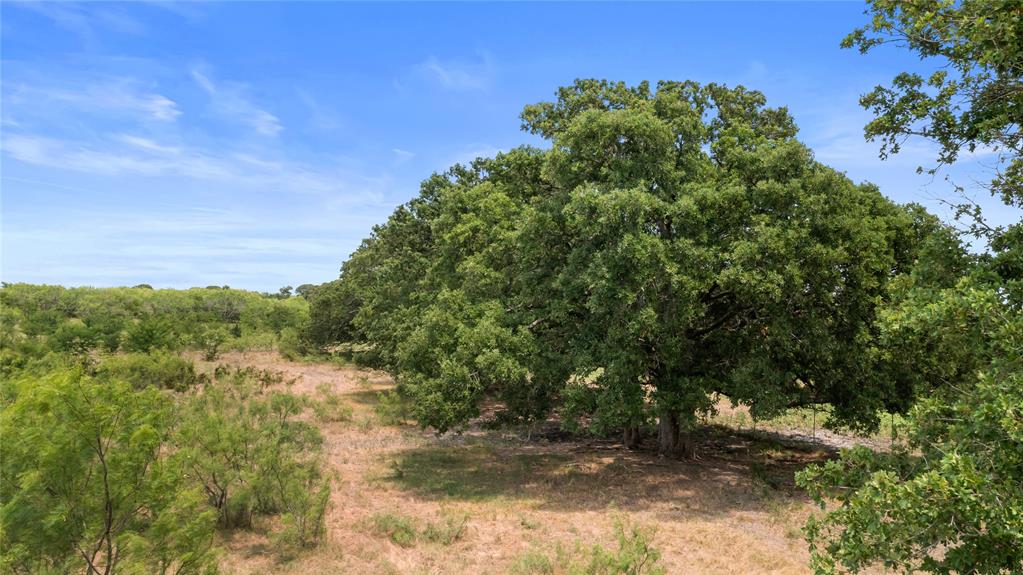 Tbd Highway 274 Property Photo 38