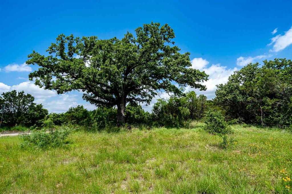 Tbd Fm 203 Property Photo 1