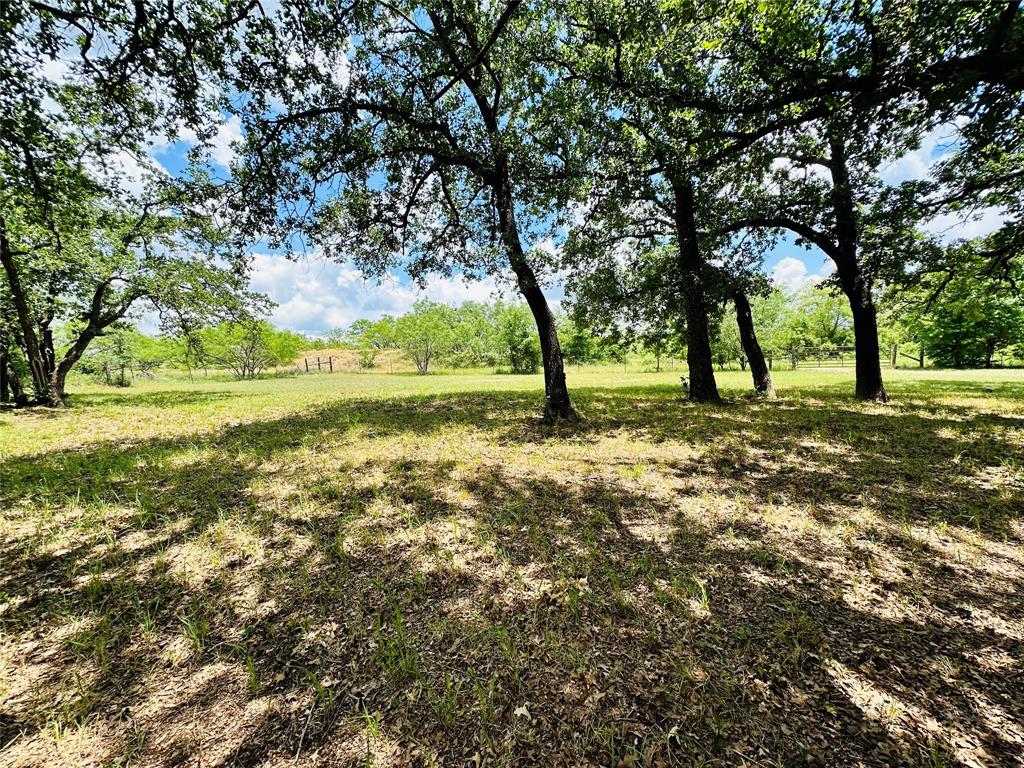 12264 County Road 404 Property Photo 27