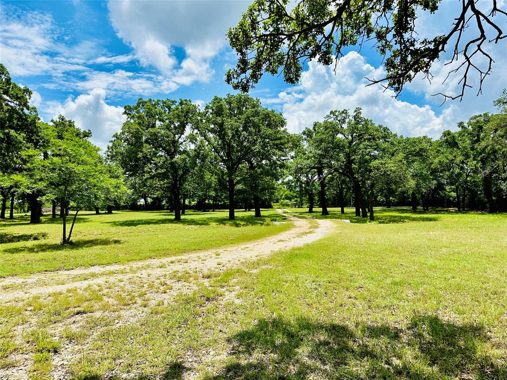 12264 County Road 404 Property Photo 31