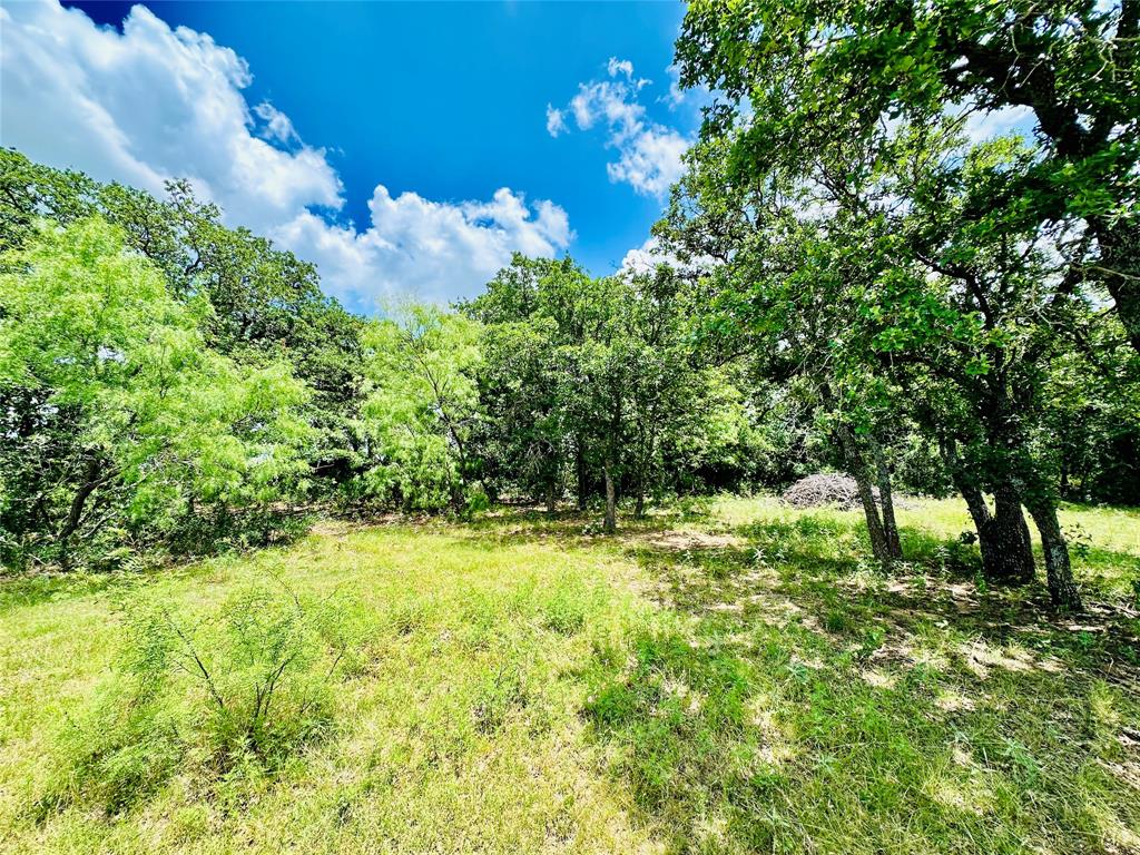 12264 County Road 404 Property Photo 32