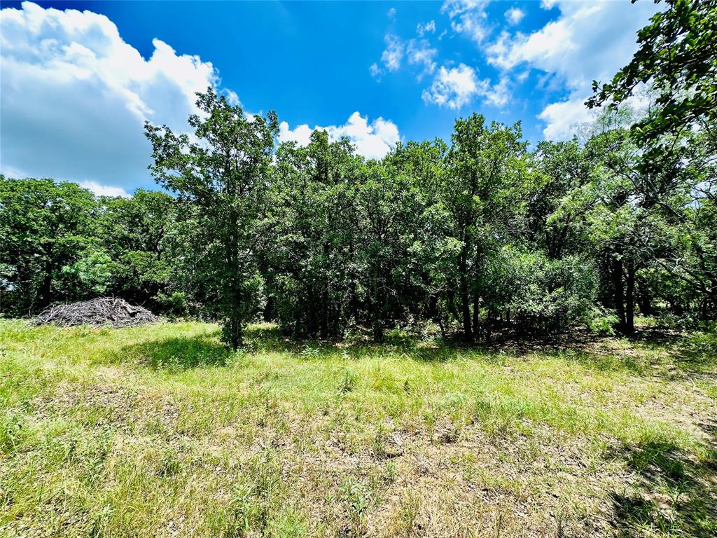 12264 County Road 404 Property Photo 33
