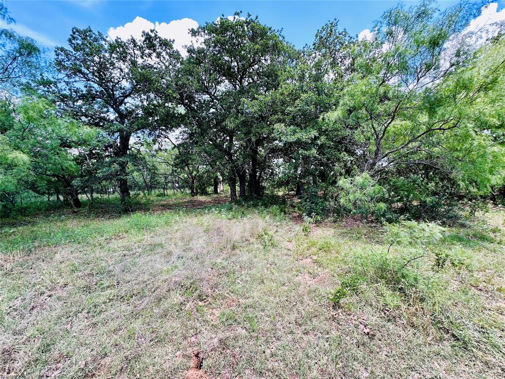 12264 County Road 404 Property Photo 34
