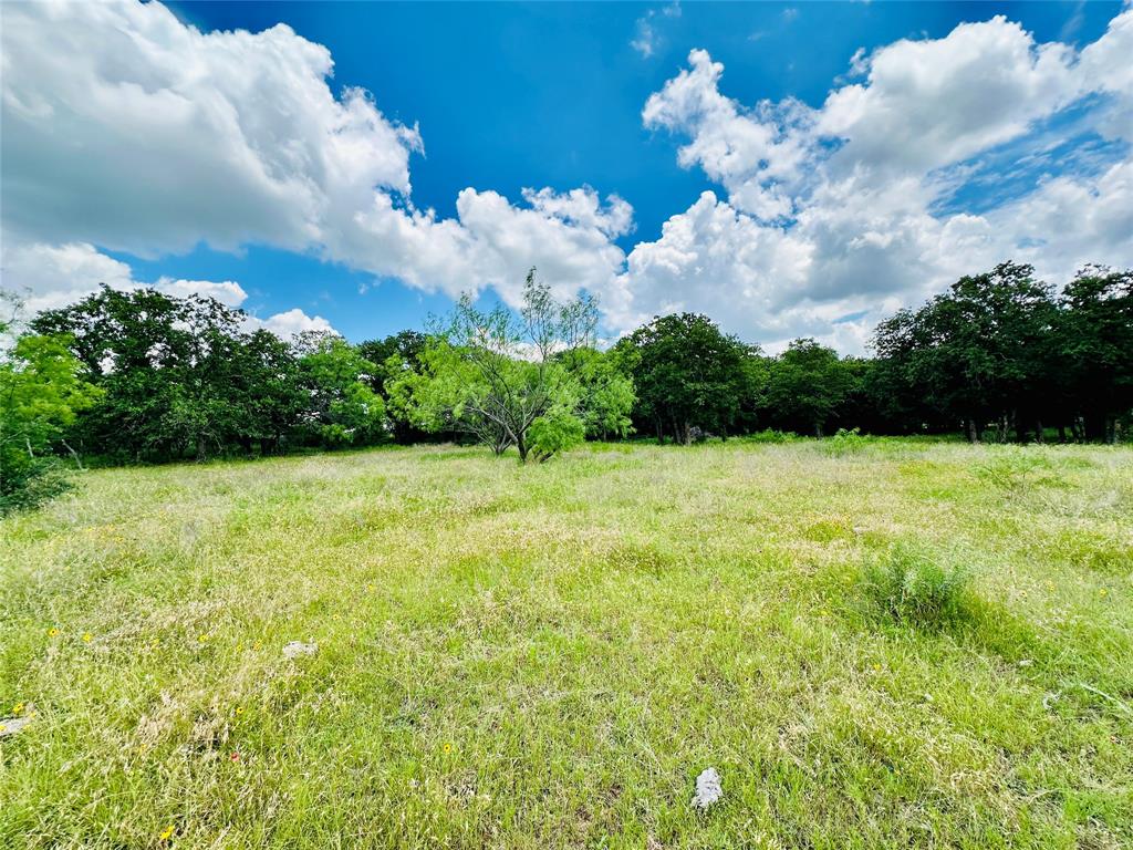 12264 County Road 404 Property Photo 35
