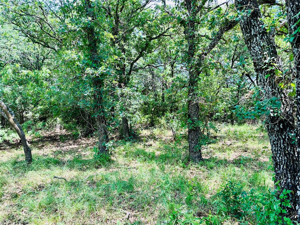 12264 County Road 404 Property Photo 37