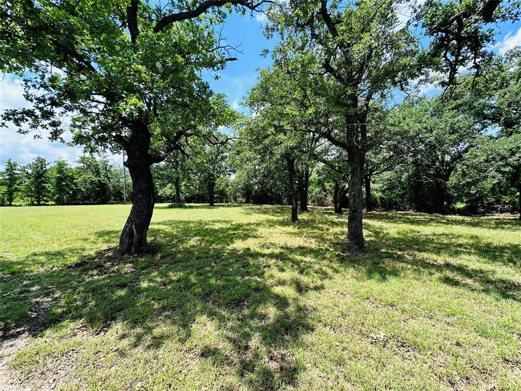 12264 County Road 404 Property Photo 38