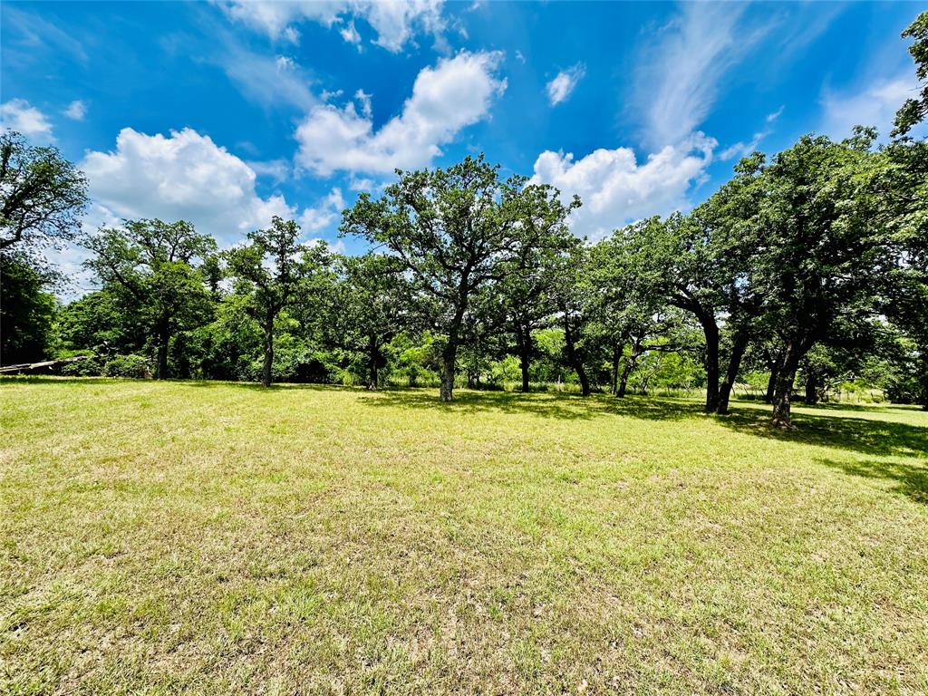 12264 County Road 404 Property Photo 39