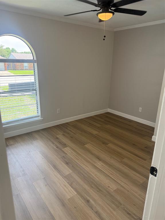 531 Hightrail Drive Property Photo 20