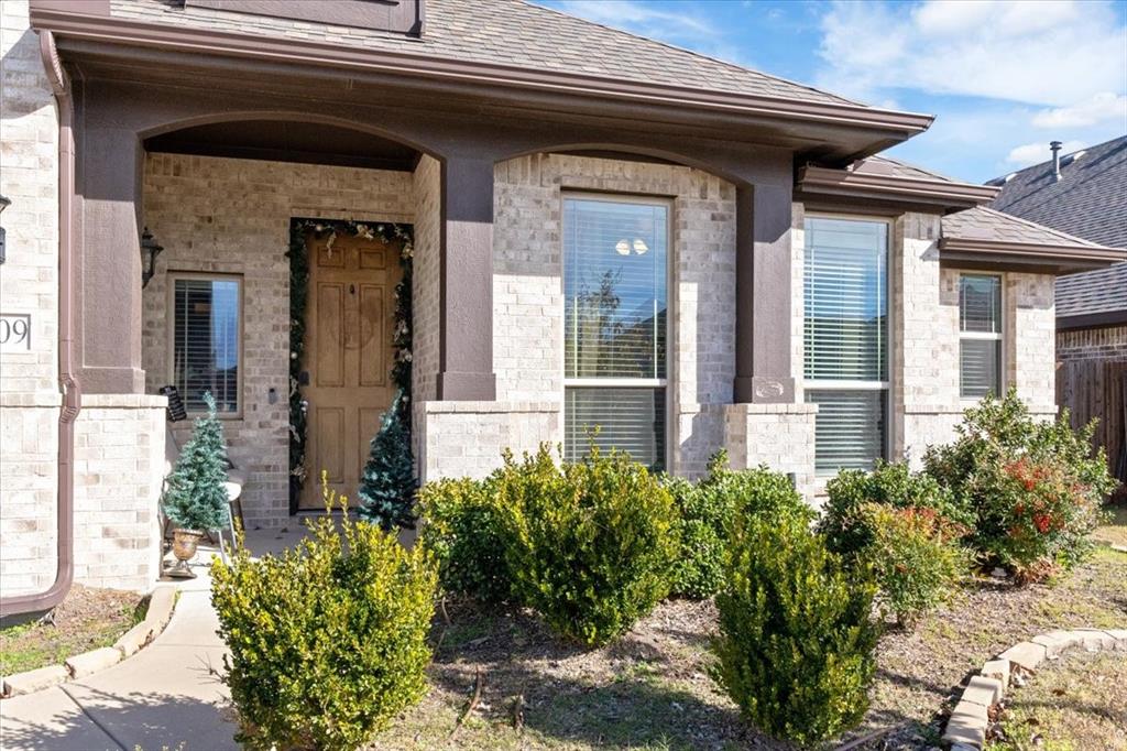 4209 Misty Ridge Street Property Photo 2