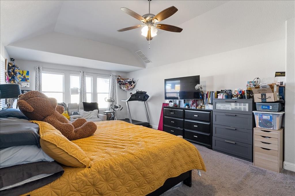 4209 Misty Ridge Street Property Photo 19
