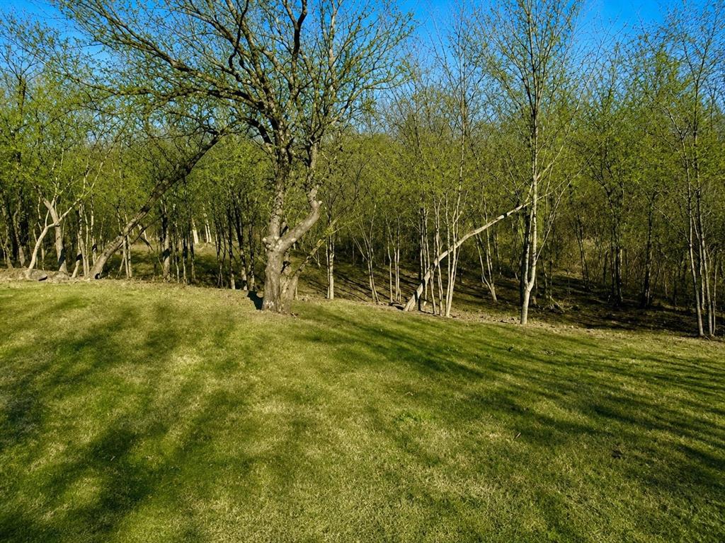2955 Sonterra Drive Property Photo 6