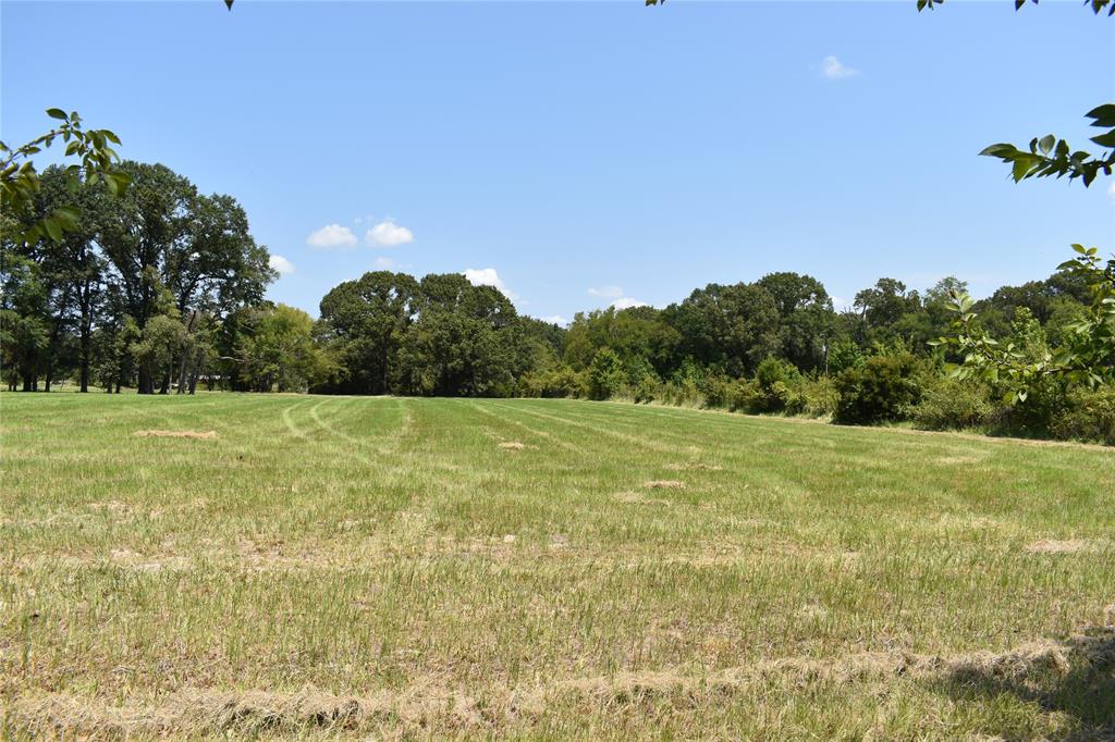 951 County Road 3800 Property Photo 6