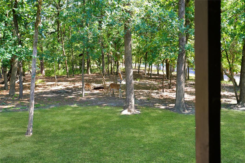 245 Larchwood Path Property Photo 30