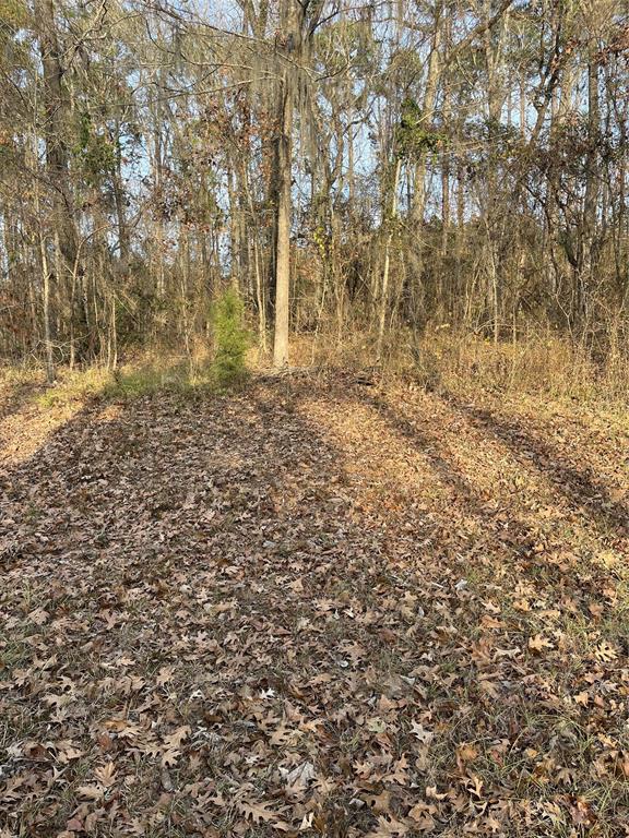 0 Sheriff Bailey Rd Property Photo 1