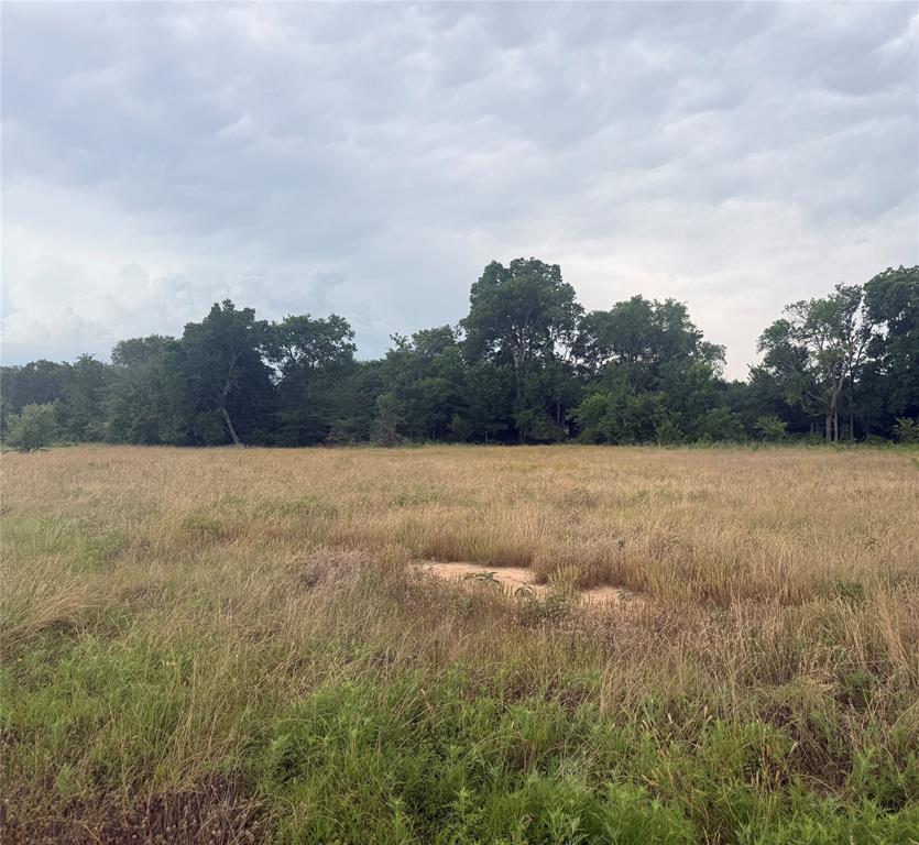TBD PECAN OAK TRL