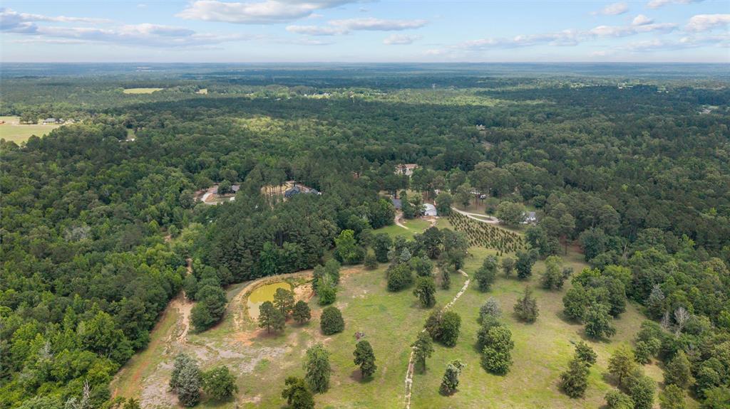 12075 County Road 452 Property Photo 39