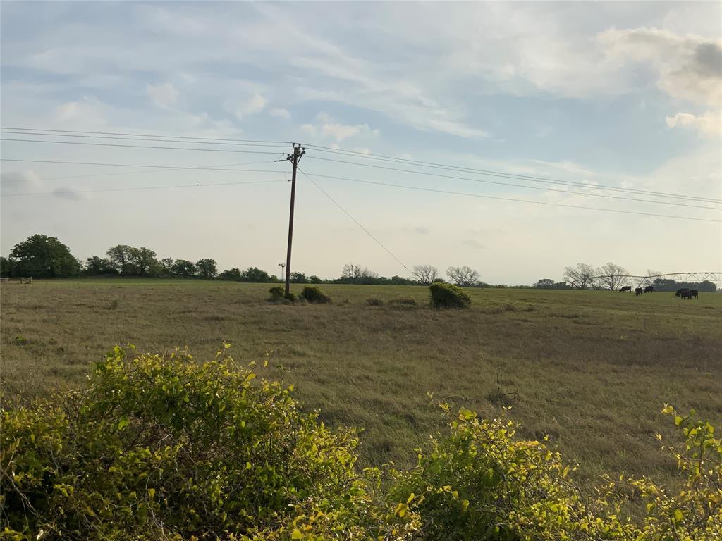 261 County Road 403 Property Photo 4