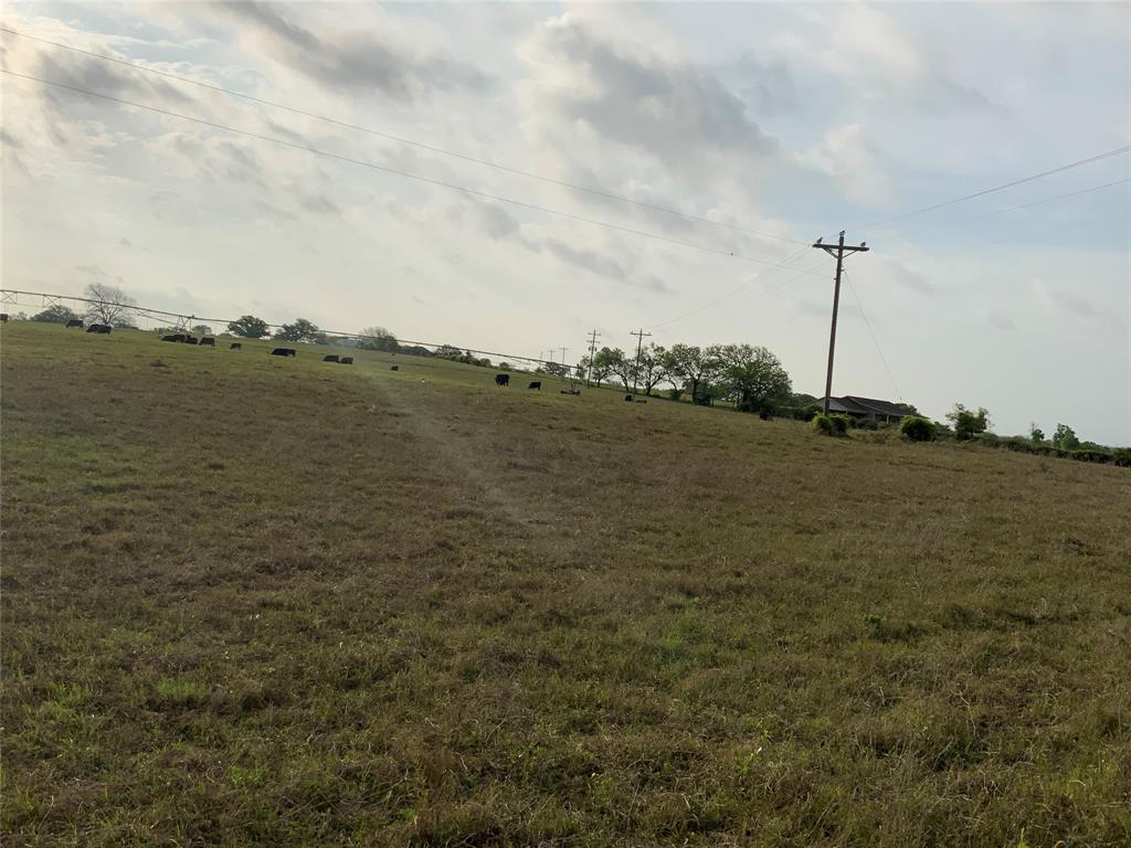 261 County Road 403 Property Photo 6