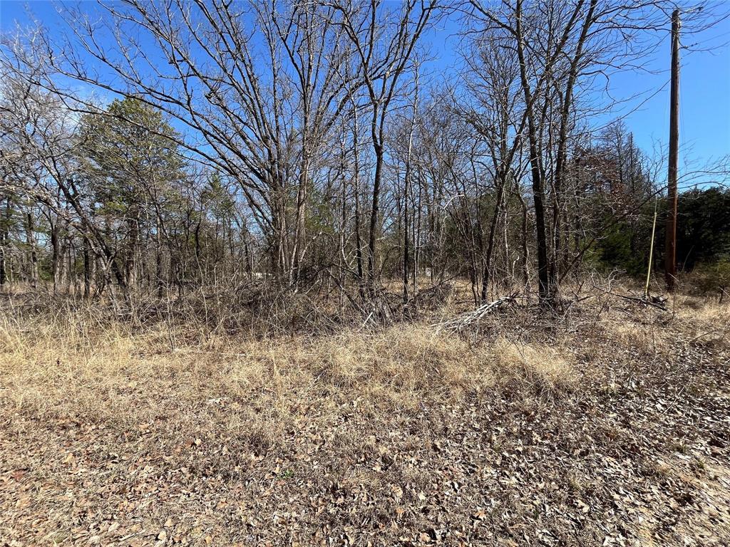 0000 County Road 3605 Property Photo 1