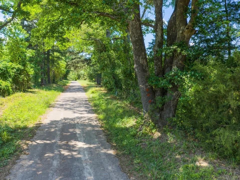 Tbd Mule Deer Road Property Photo 3