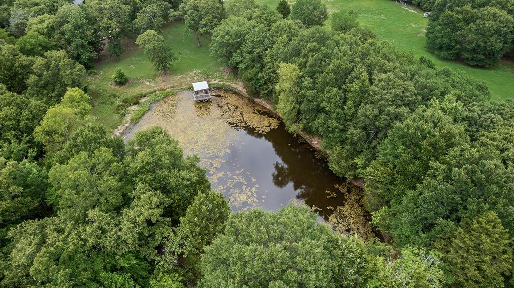 9875 Old Bridge Road Property Photo 6