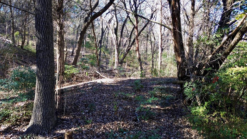 1917 Juniper Ridge Road Property Photo 11
