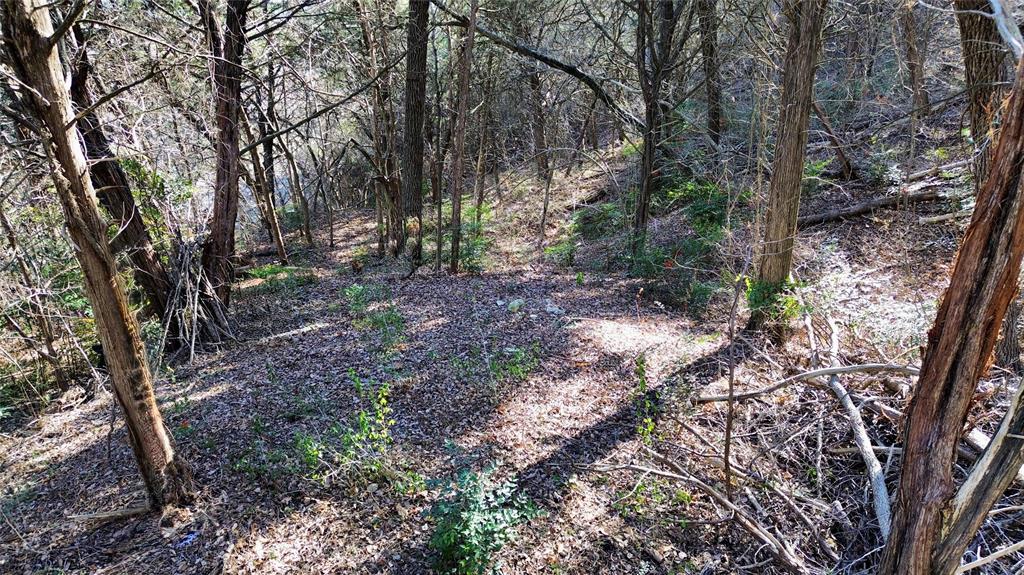 1917 Juniper Ridge Road Property Photo 12