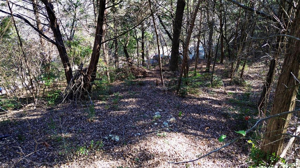 1917 Juniper Ridge Road Property Photo 13