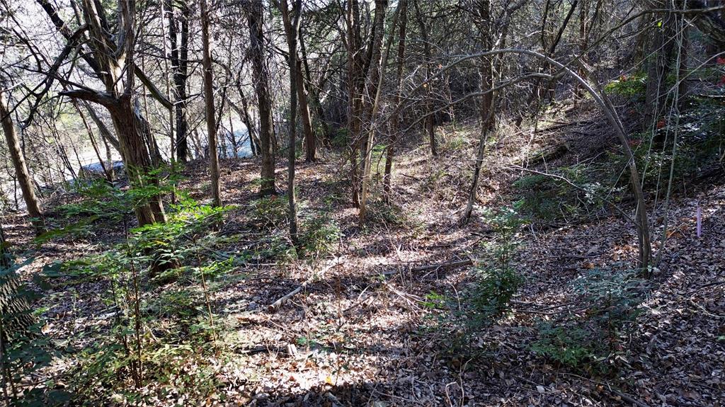 1917 Juniper Ridge Road Property Photo 14