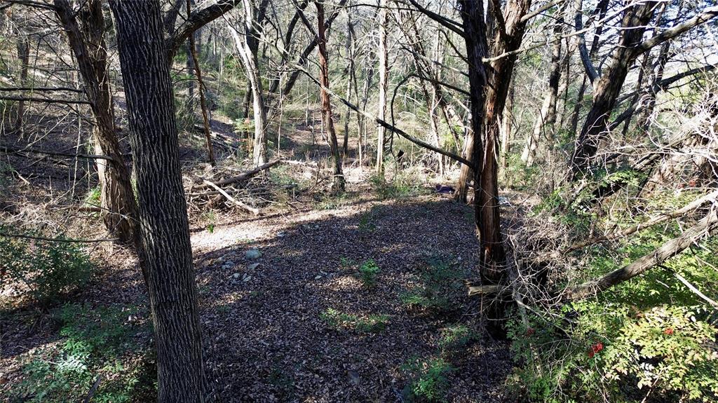 1917 Juniper Ridge Road Property Photo 15