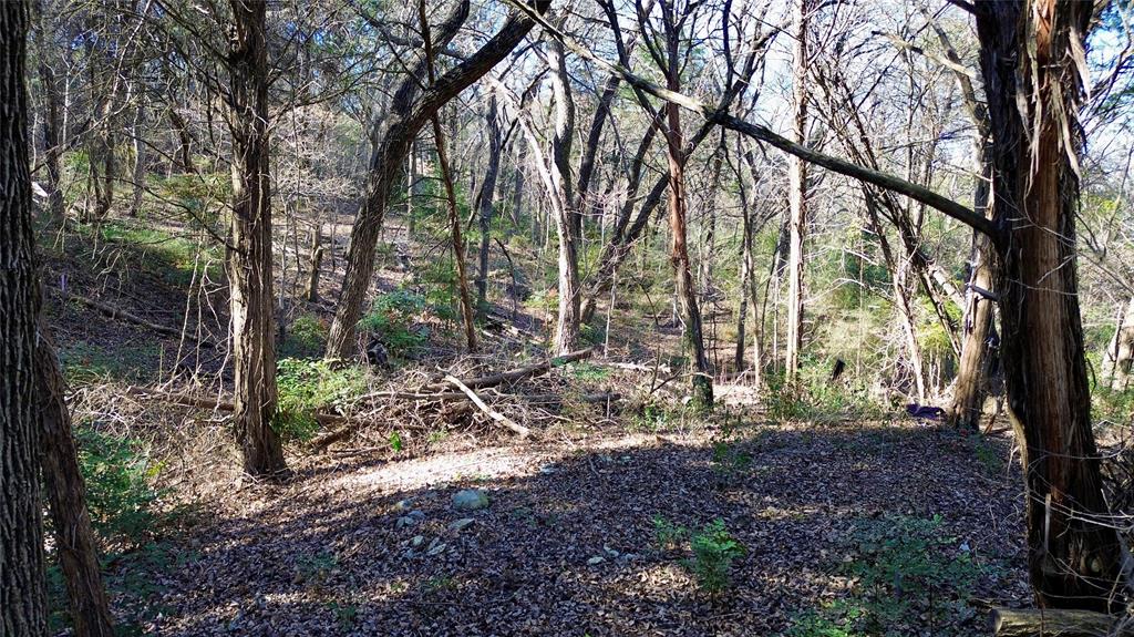 1917 Juniper Ridge Road Property Photo 16