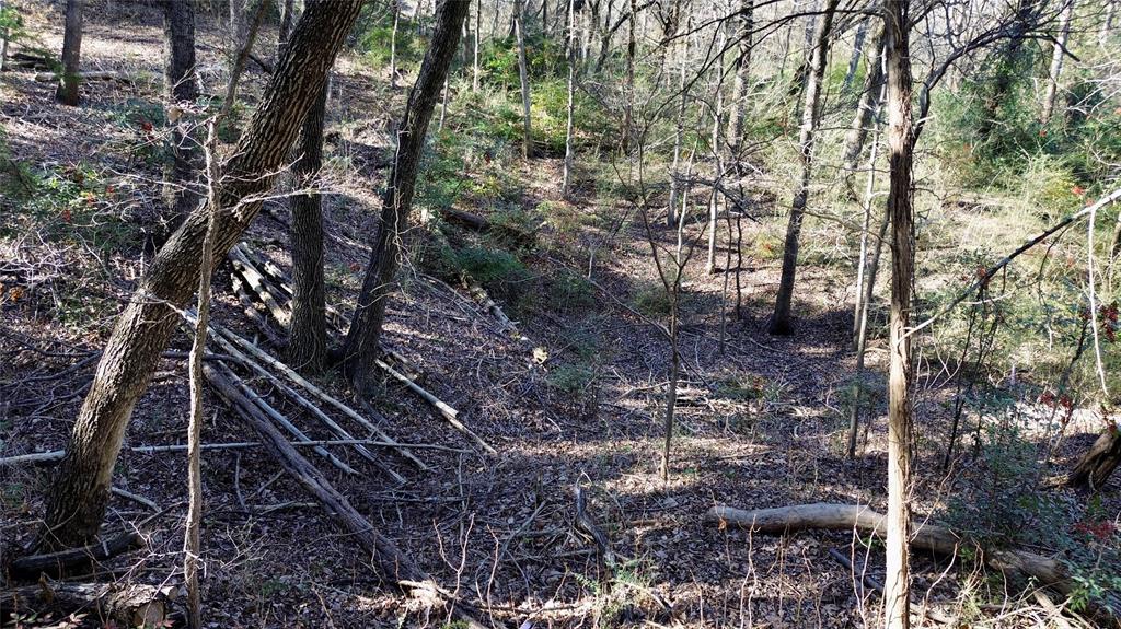 1917 Juniper Ridge Road Property Photo 17