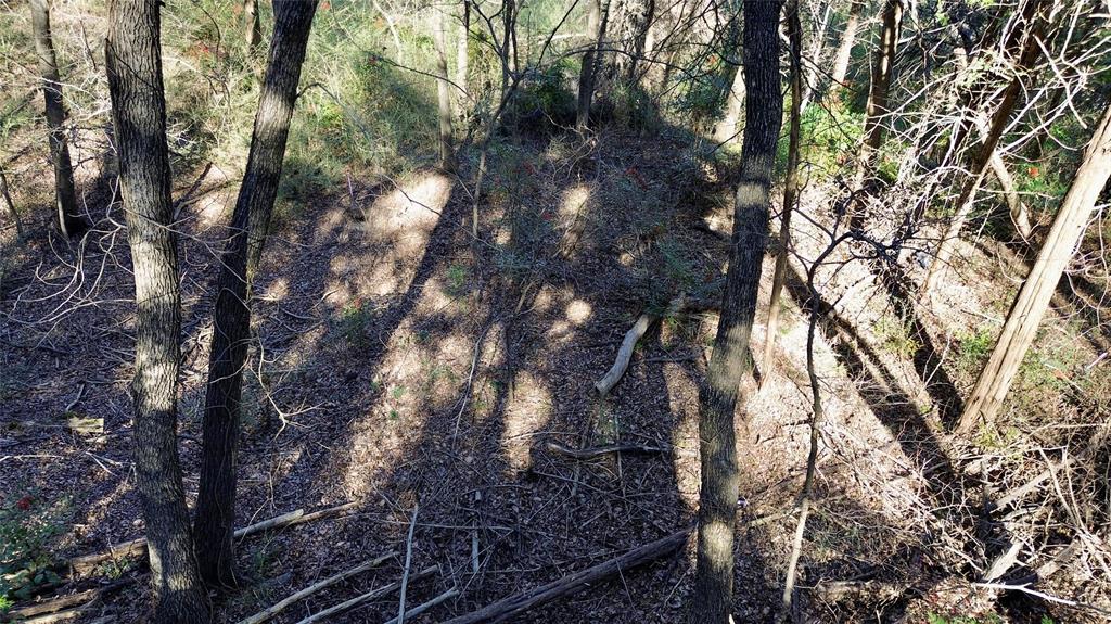 1917 Juniper Ridge Road Property Photo 18