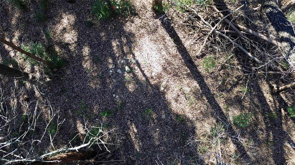 1917 Juniper Ridge Road Property Photo 21