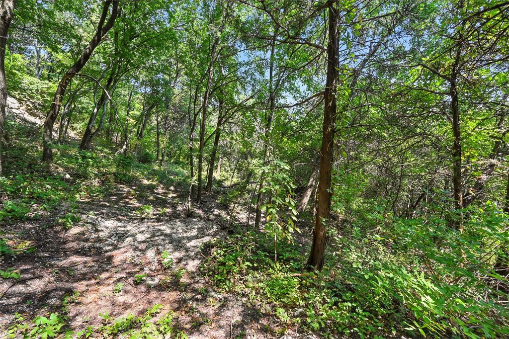 1917 Juniper Ridge Road Property Photo 23