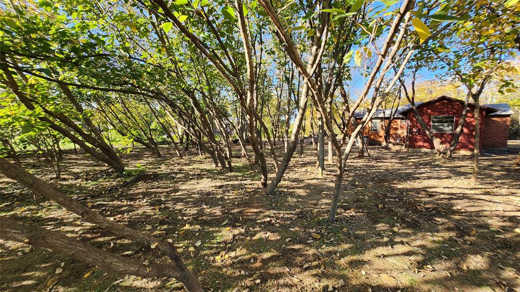 2518 Laney Road Property Photo 5