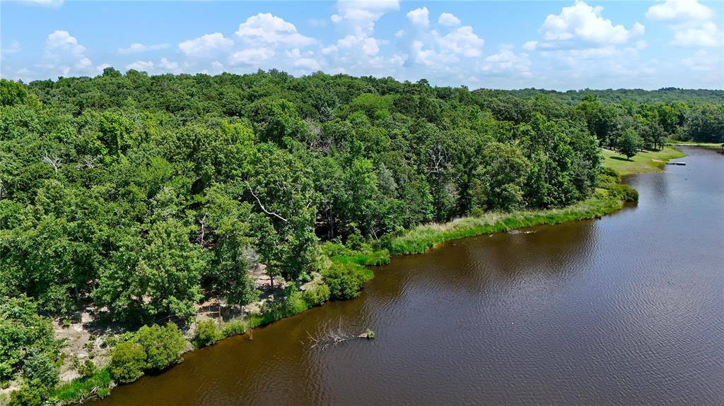 Tbd County Road 3711 Property Photo 6