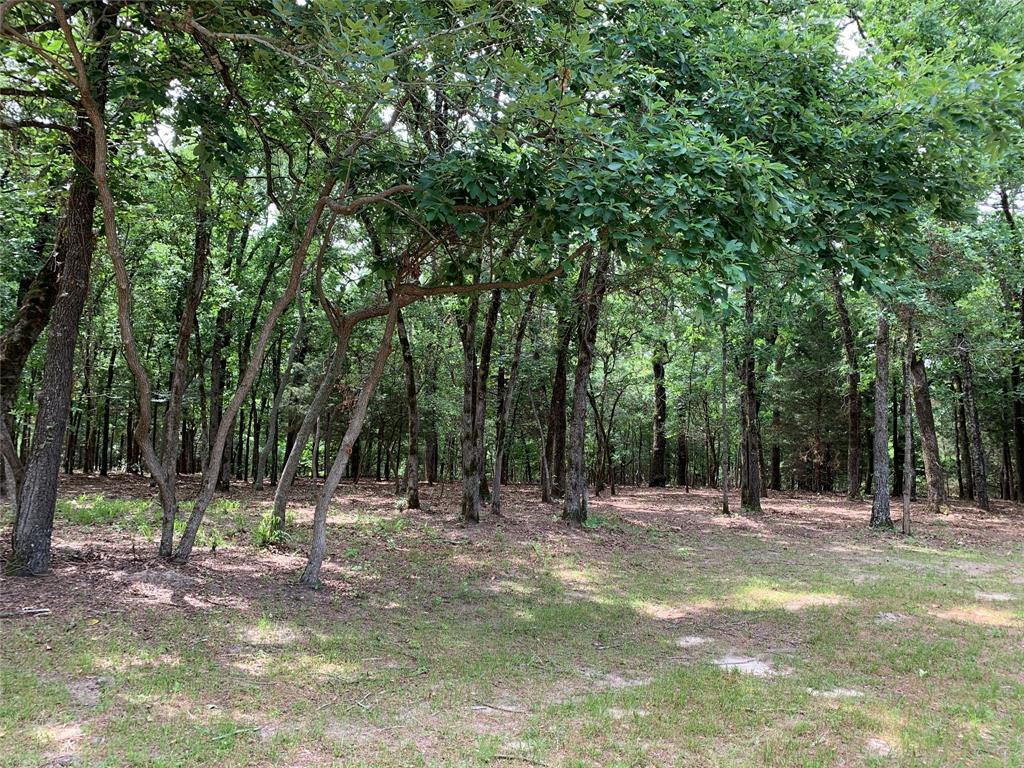 Tbd County Road 3711 Property Photo 8