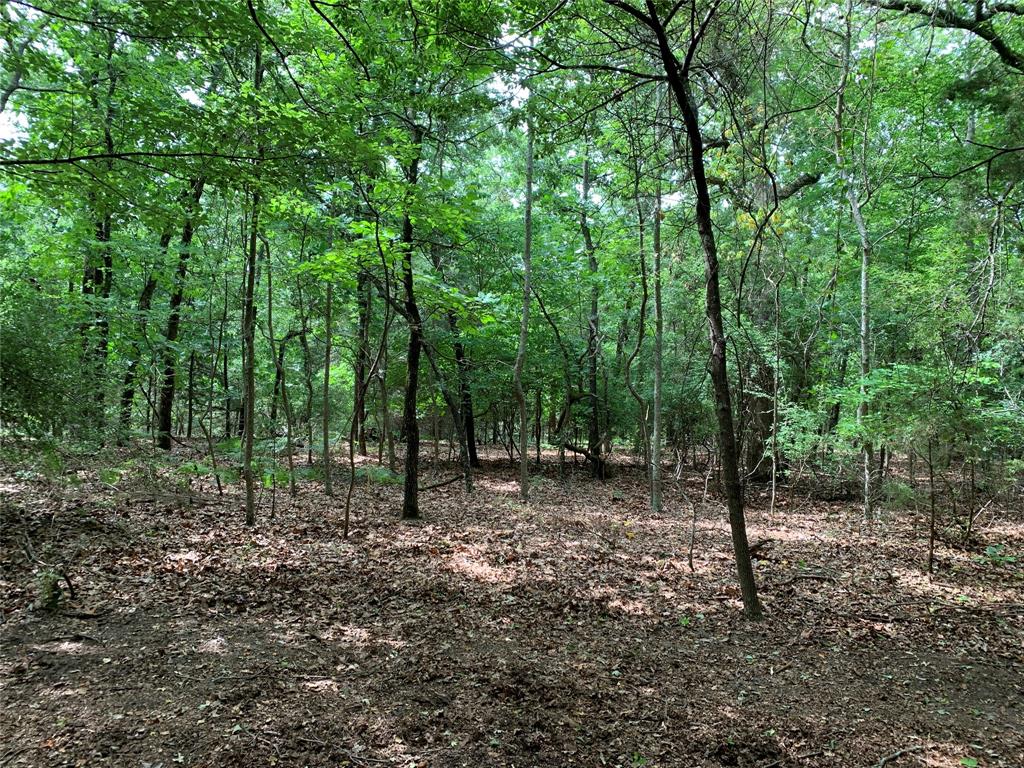 Tbd County Road 3711 Property Photo 10