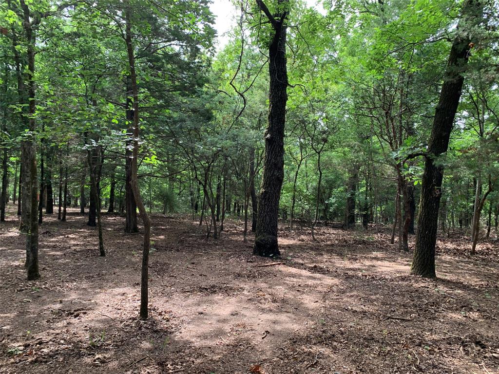 Tbd County Road 3711 Property Photo 12