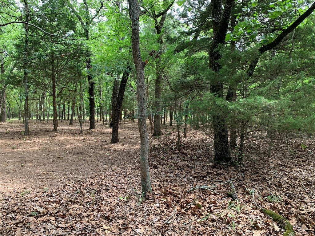 Tbd County Road 3711 Property Photo 13