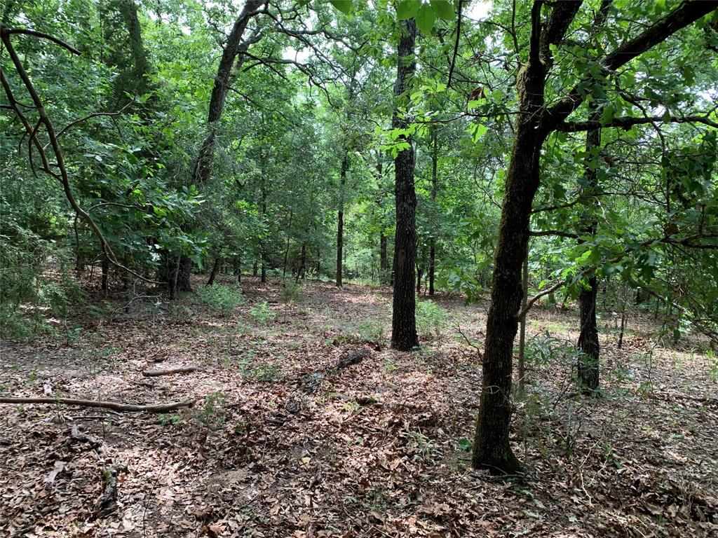 Tbd County Road 3711 Property Photo 14