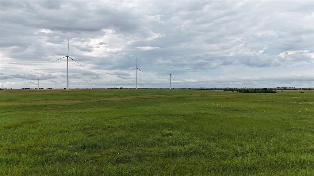 Tbd County Road 431 Property Photo 1
