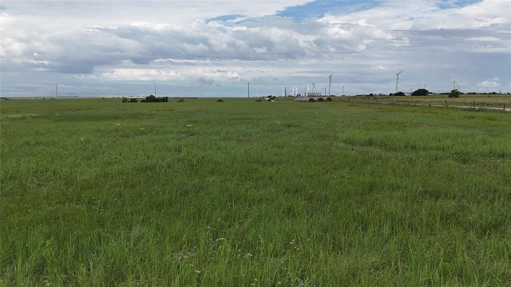 Tbd County Road 431 Property Photo 6