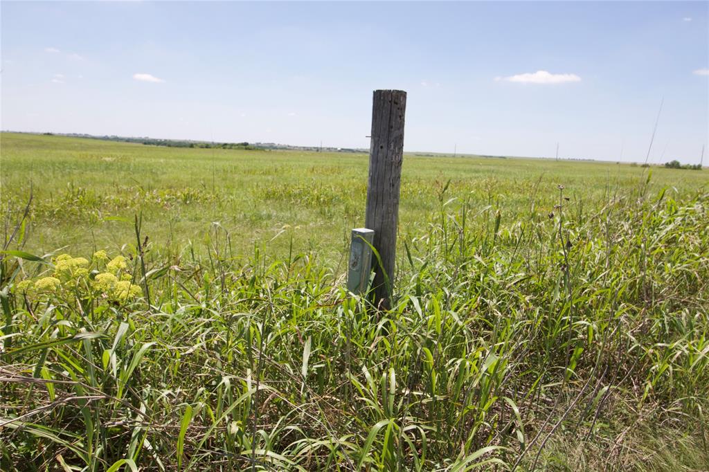 Tbd County Road 431 Property Photo 12