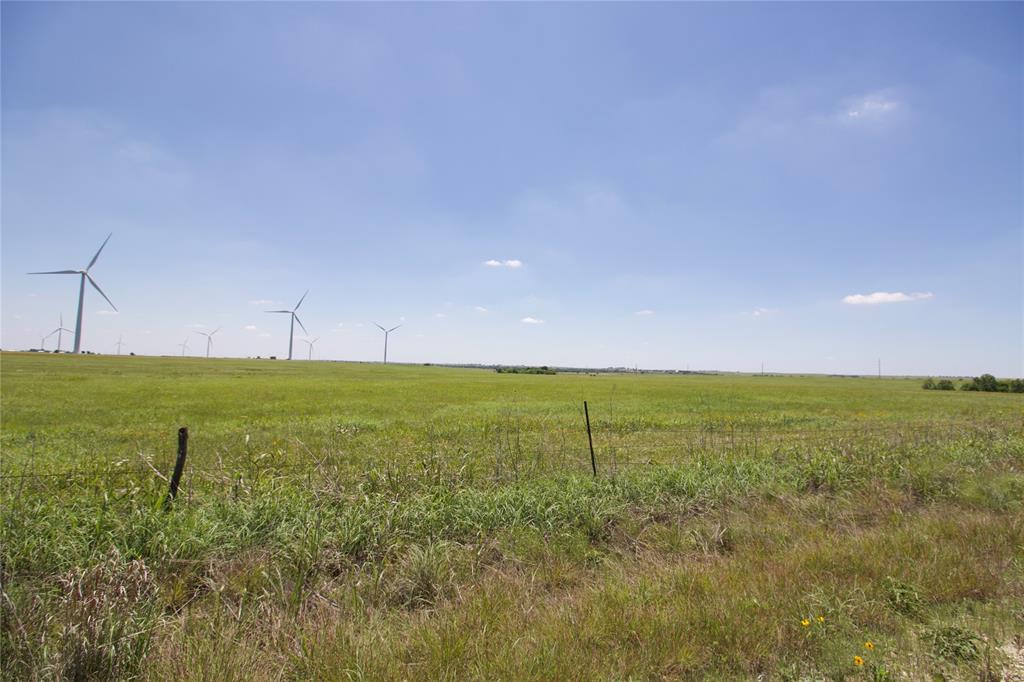Tbd County Road 431 Property Photo 13