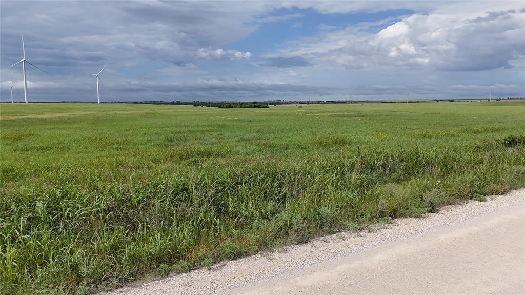 Tbd County Road 431 Property Photo 14